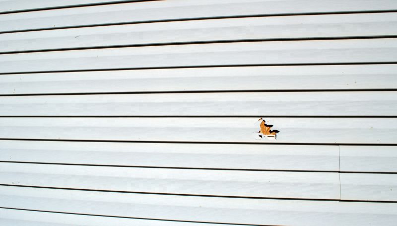 Seasonal Siding Maintenance